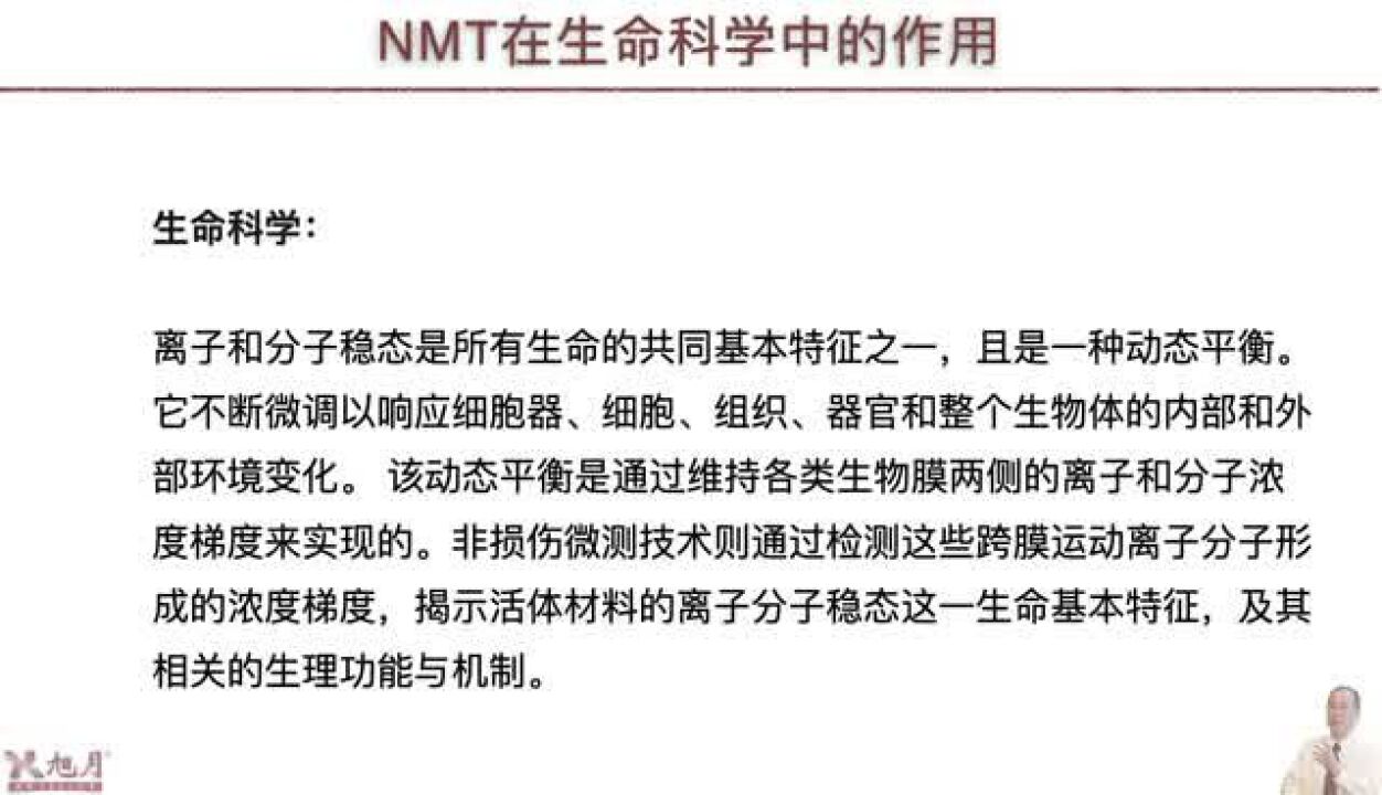 《旭月谈技科篇:106》NMT在材料科学研究中的作用【许越博主】