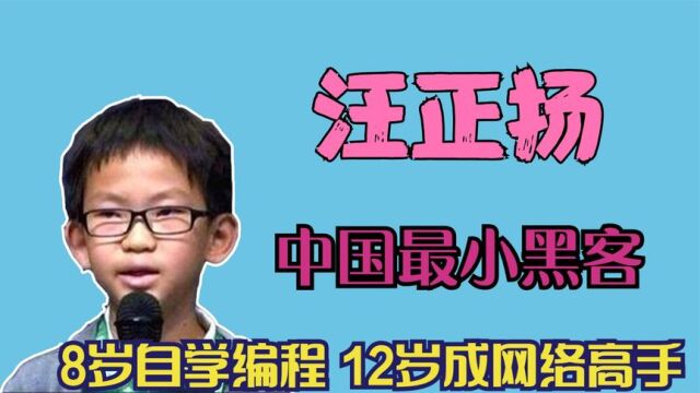 中国最小黑客,8岁自学编程12岁成网络高手,如今过的怎么样?