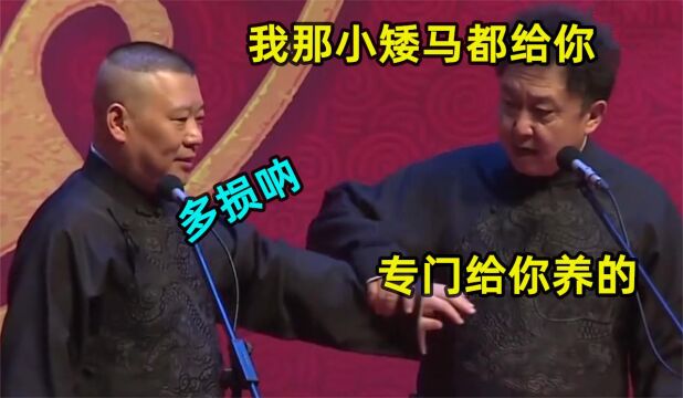 于谦反击郭德纲合集:拿老郭身高开涮,马场的小矮马都给他准备的