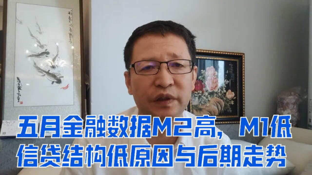 五月金融数据M2高,M1低,信贷结构低原因与后期走势