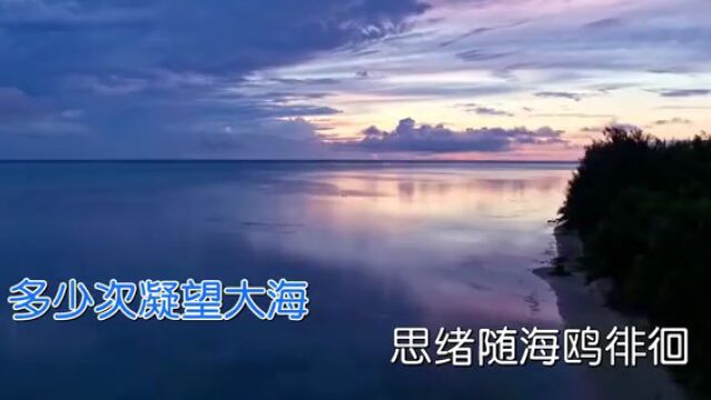 一首充满时代感的《风从海上来》,抒发对美好未来的憧憬!| 民歌中国ⷨ”星计划