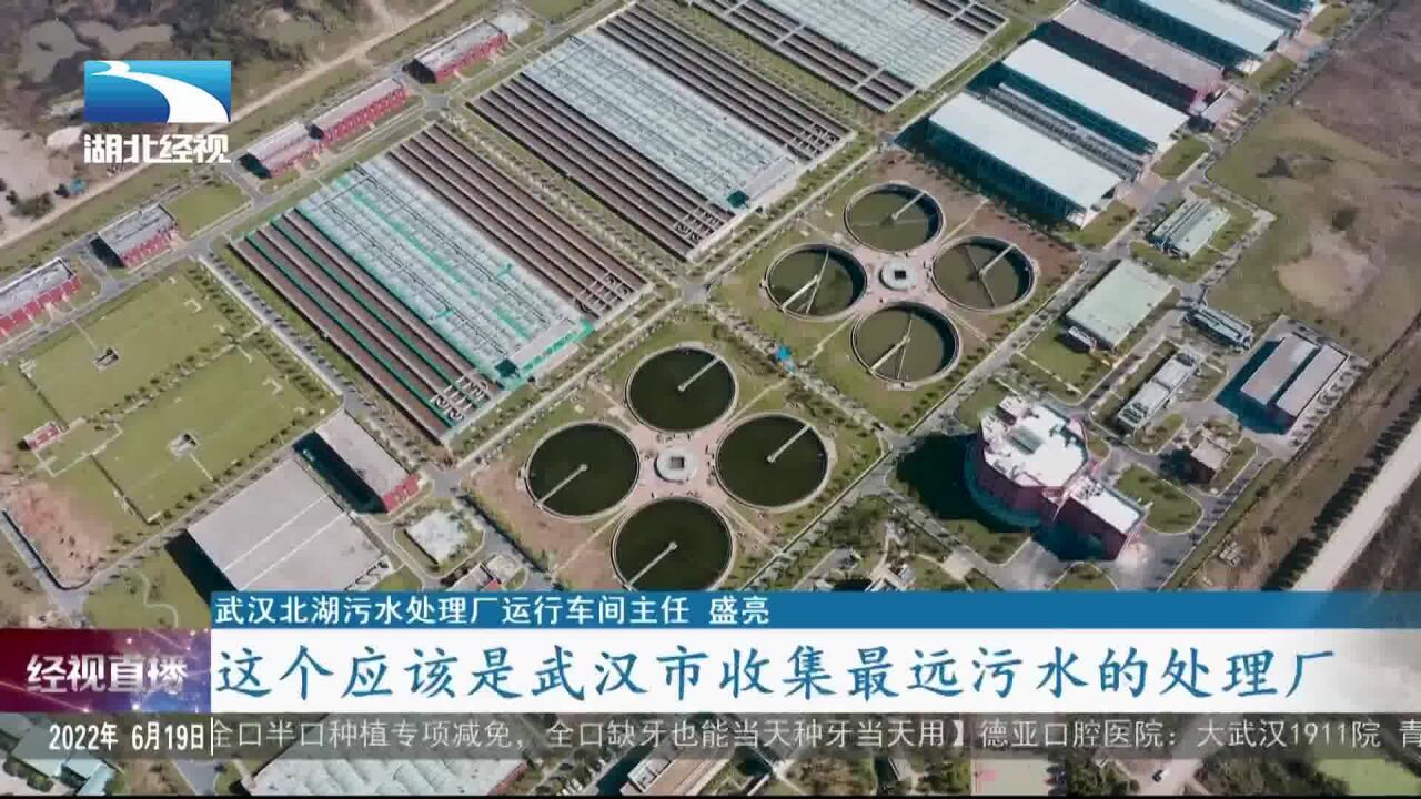 【沿着长江看湖北】誓叫污水变“清泉”:寻访武汉城市之肾