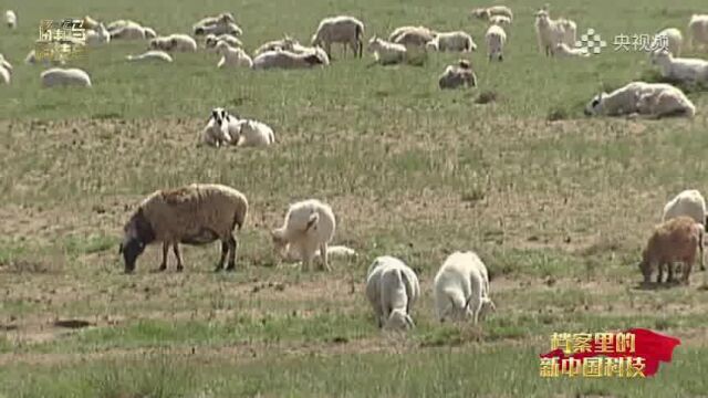 他让中国大规模蝗灾变成历史丨档案里的新中国科技