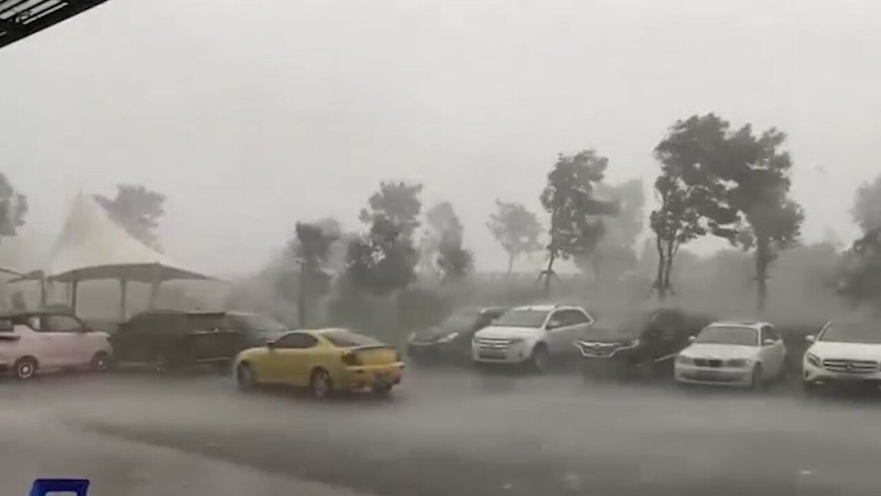 注意防范!浙江嘉兴突发狂风暴雨,多地伴随冰雹