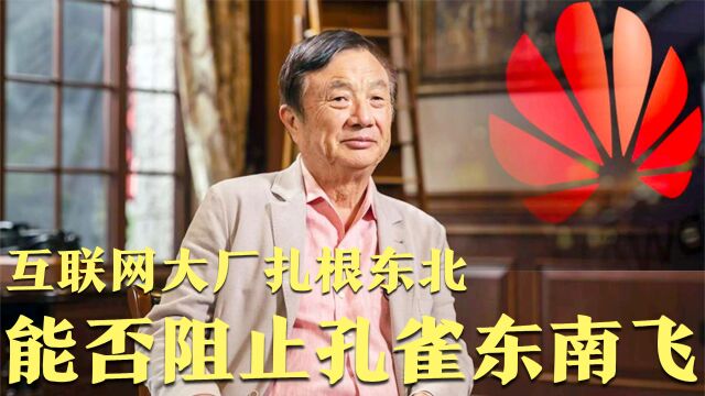 互联网大厂齐聚东北投资,能否阻止孔雀东南飞?