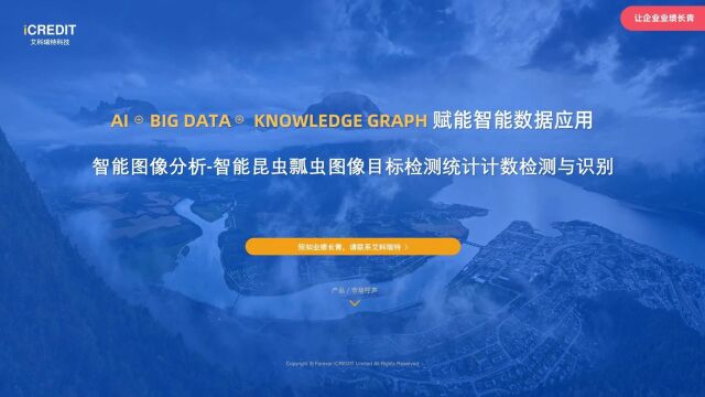 智能图像分析智能昆虫瓢虫图像目标检测统计计数检测与识别艾科瑞特科技(iCREDIT)