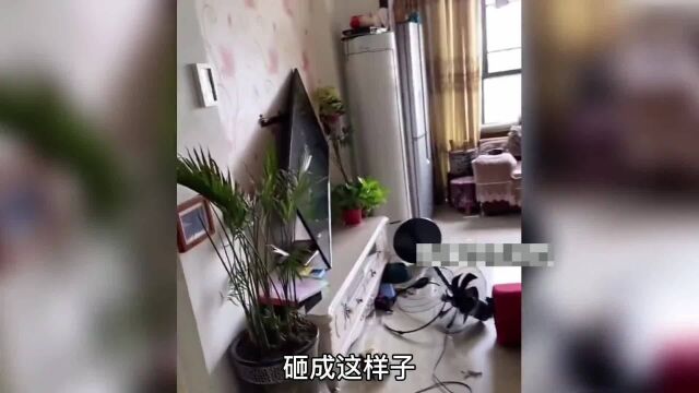 35个让你火冒三丈的败家女人,一吵架就砸家具,娶她真倒八辈子霉