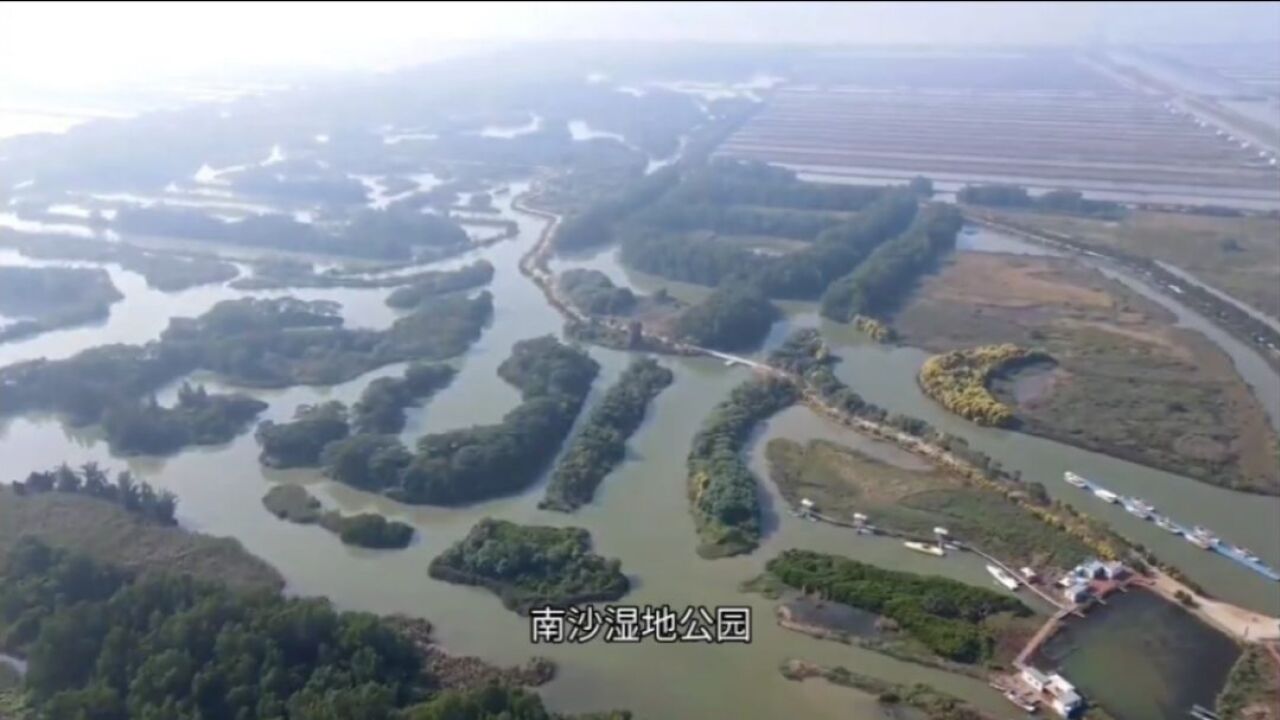 南沙湿地公园,广州市最大的海边公园,到底怎么样?值得游览吗