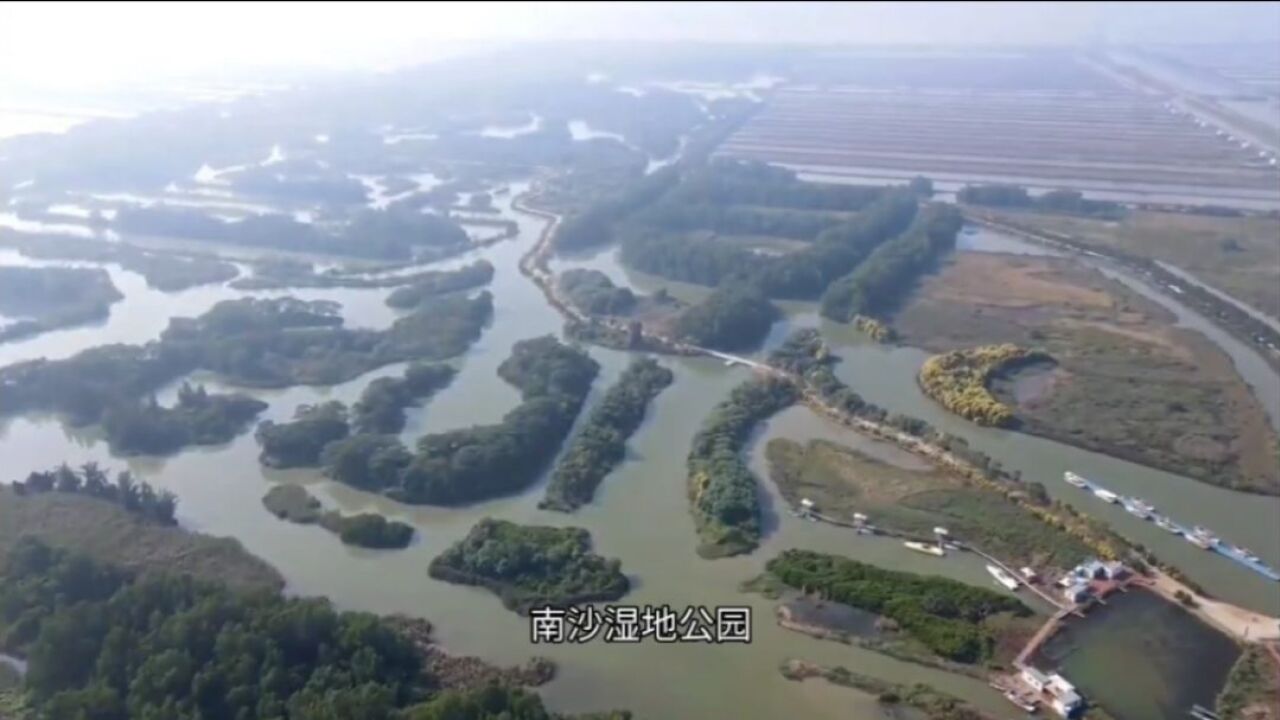 南沙湿地公园,广州市最大的海边公园,到底怎么样?值得游览吗