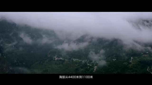 《红土地上映山红》!上中组部远程教育平台啦!!