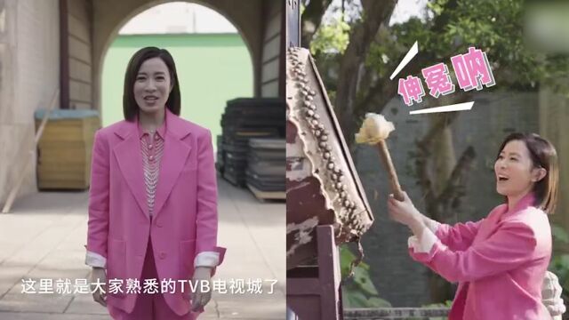 47岁佘诗曼出道25周年!揭秘TVB电视城幕后,见证从港姐到视后的蜕变