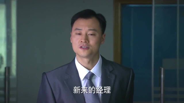 陈启明到深圳投靠刘元肖然,却碰到张志刚新官上任三把火,真没辙