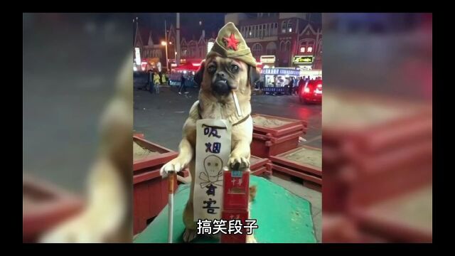 快乐搞笑段子