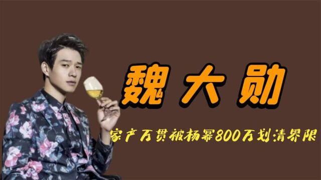 “最抠富二代”魏大勋:杨幂花800万跟他划清界限,家庭背景惊人