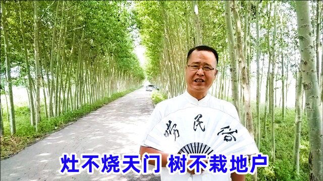 俗语“灶不烧天门,树不栽地户”,啥意思?天门和地户指啥?