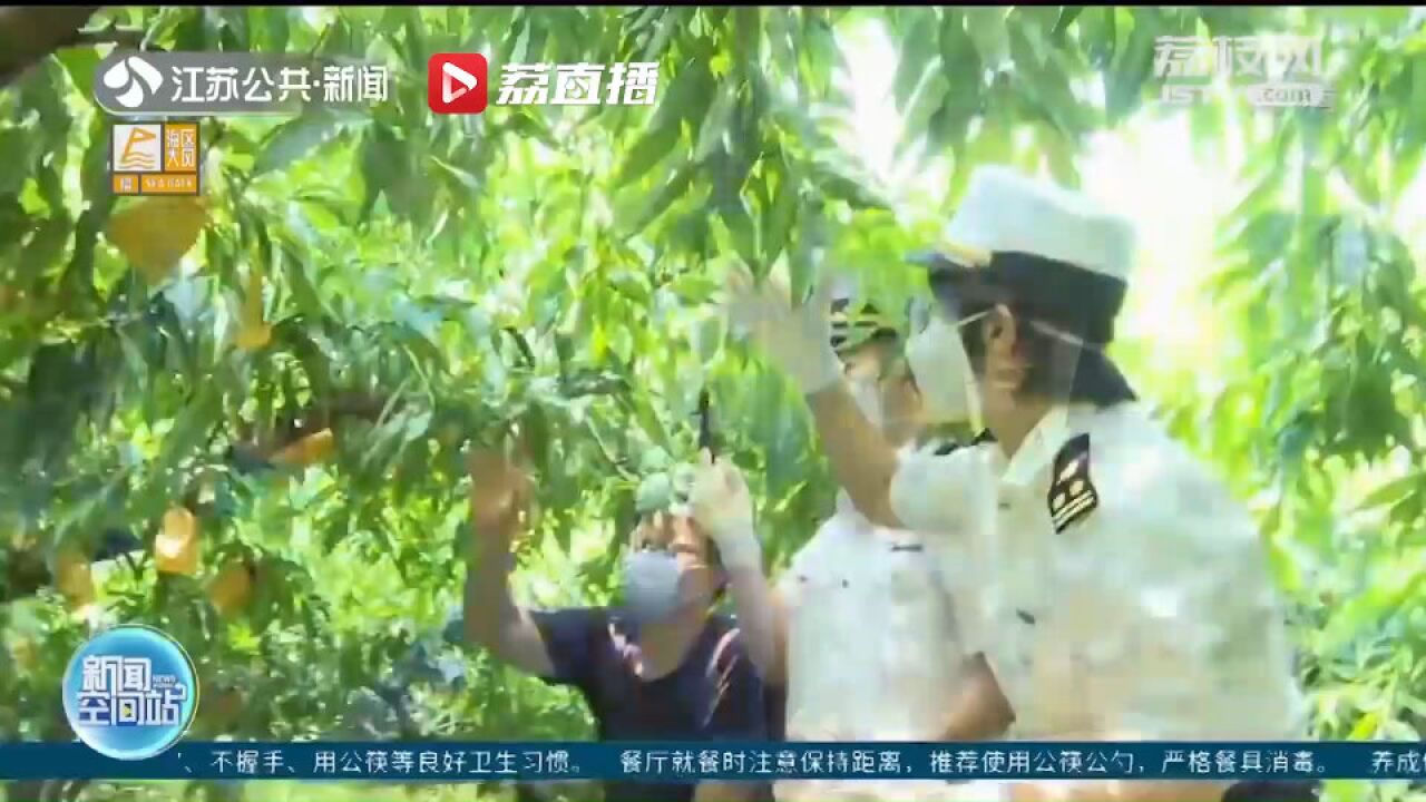 无锡今年首批阳山水蜜桃直通香港