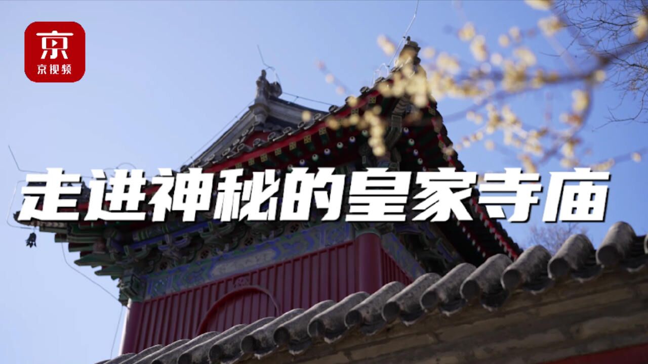 走进神秘的皇家寺庙!寻源大运河,探秘万寿寺