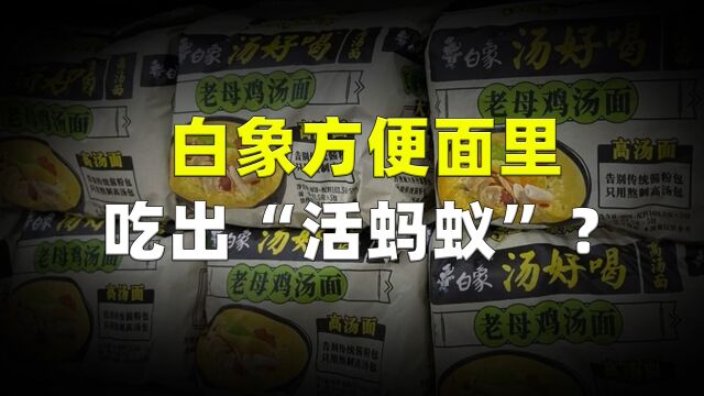 白象方便面里吃出“活蚂蚁”?白象公司正面回应,请相信民族企业