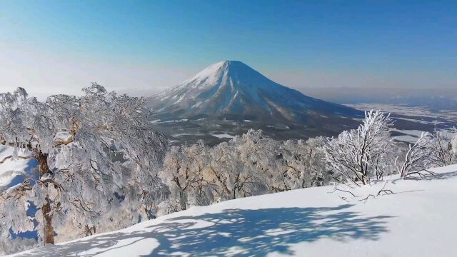 你可以喜欢日本的风景,但有些是不能喜欢的