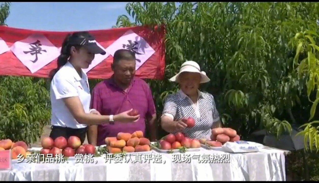 近日,新疆昌吉市三工镇南头工村桃子大丰收,乡亲们在桃园里举办了“桃王争霸赛”,现场气氛喜庆热烈