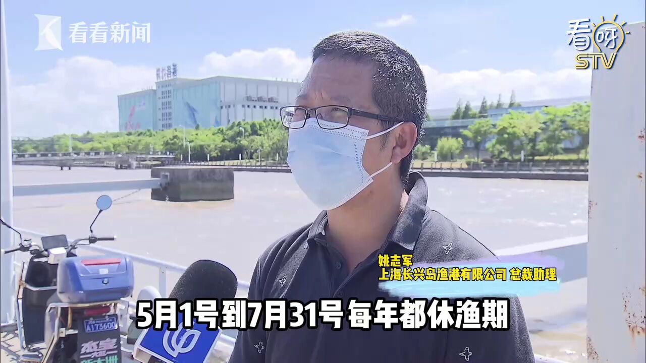 东海伏季休渔期结束 “第一网”海鲜新鲜上岸