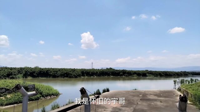 夏天,揭西县棉湖镇沿江路实拍