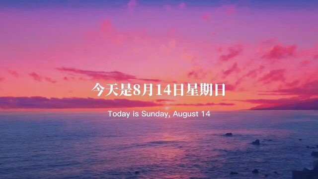 #今天是8月14日