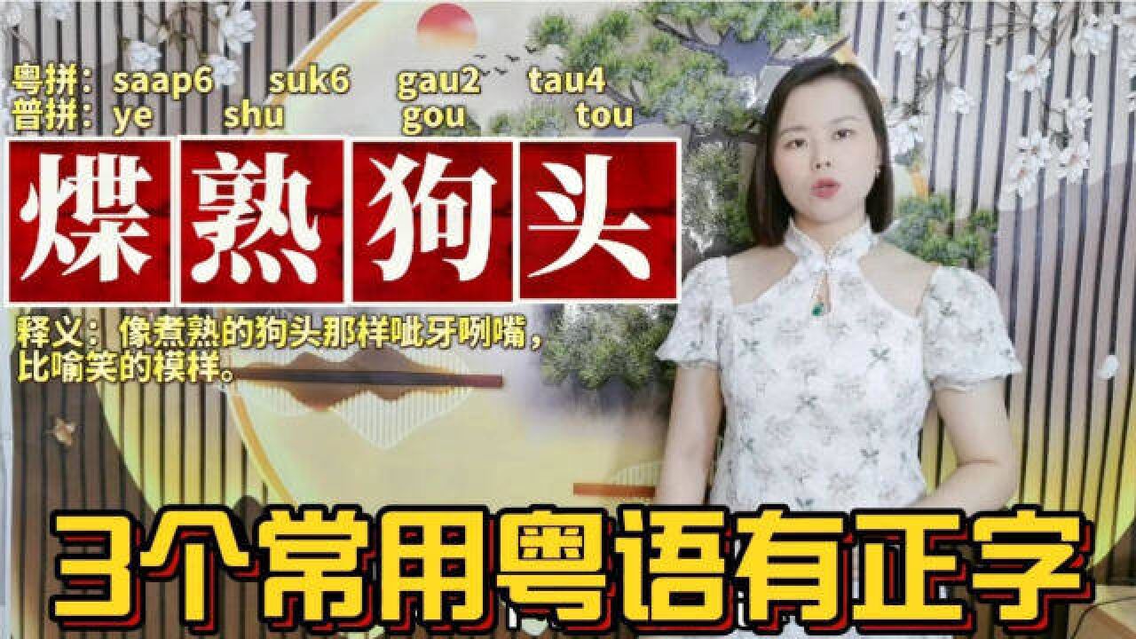 广东人广西人说:笑得煠熟狗头是什么意思?3个粤语有字可写