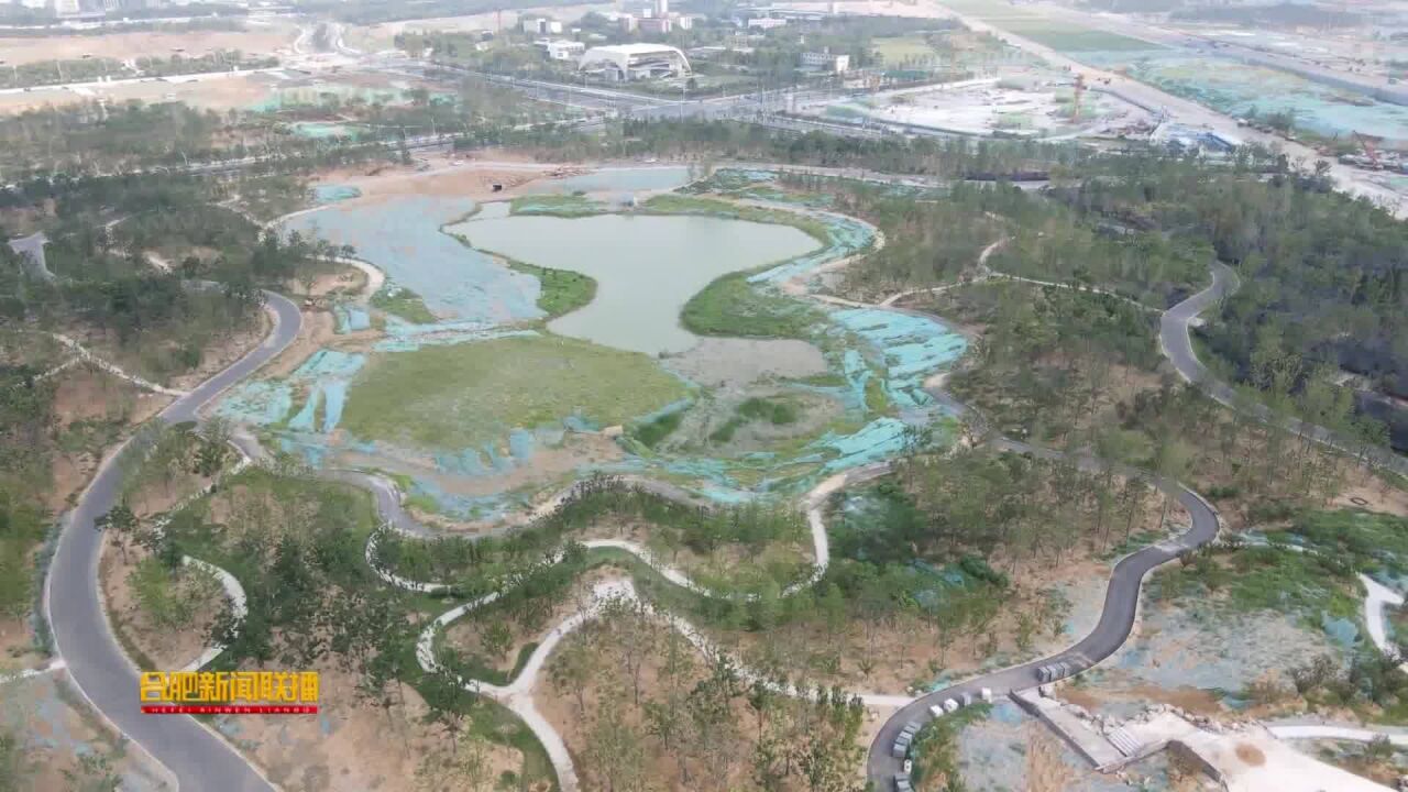 黑池坝景区蓝藻治理效果初显