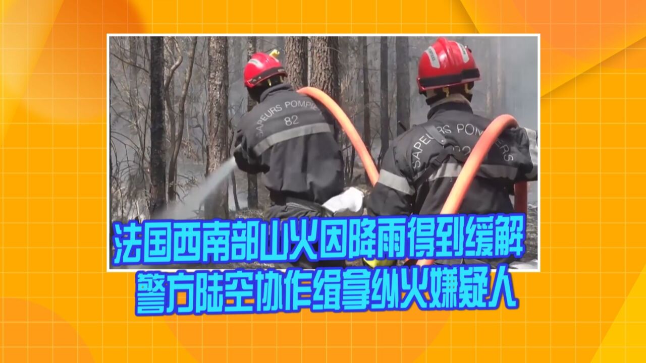 法国西南部山火因降雨得到缓解 警方陆空协作缉拿纵火嫌疑人