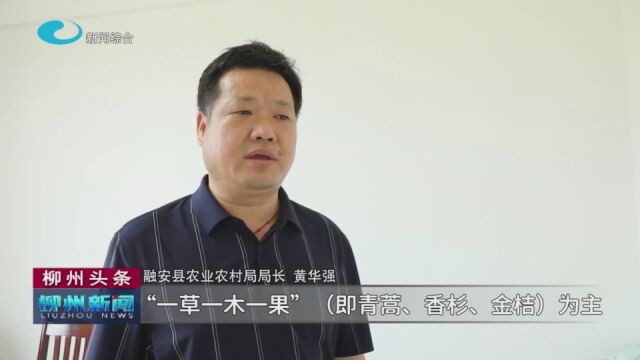 【媒体视点】上周,这些融安新闻受到上级媒体关注