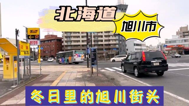 北海道仅次于札幌市的第二大城,现为中核市,也是该支厅的行政中心所在地.近年来以旭山动物园和旭川拉面闻名日本国内外,现与钏路市同被指定为北海...