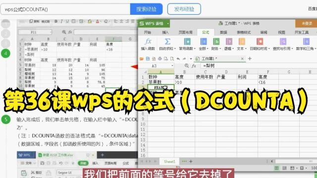 第36课wps的公式(DCOUNTA)
