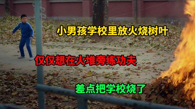 小男孩学校里放火烧树叶,仅仅想在火堆旁练功夫,差点把学校烧了(影视解说)