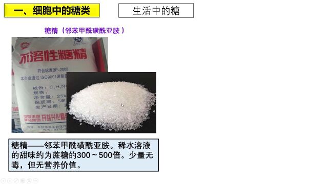 【松塔生物课】必修一2.3细胞中的糖类和脂质高中生物视频新授课