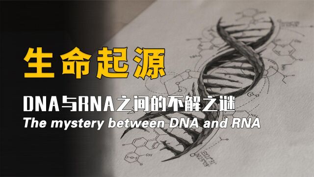 生命的起源,DNA与RNA的不解之谜,到底是先有鸡还是现有蛋?