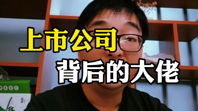 上市公司背后的大佬