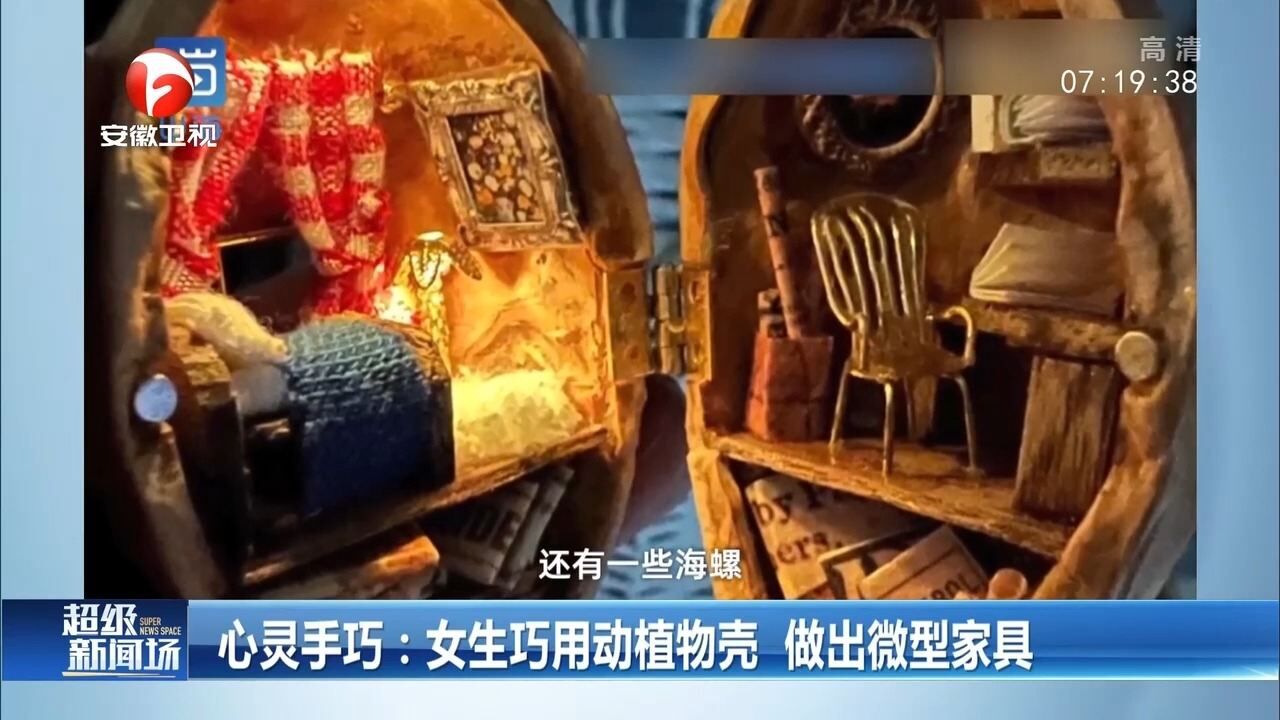 广东广州:女生巧用动植物壳,做出微型家具