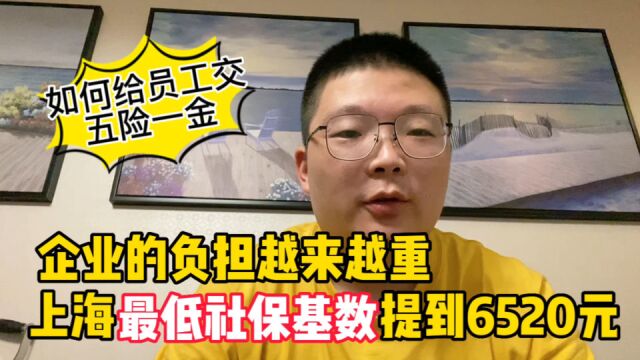 上海最低社保基数提到6520,企业负担越来越重,五险一金会咋交?