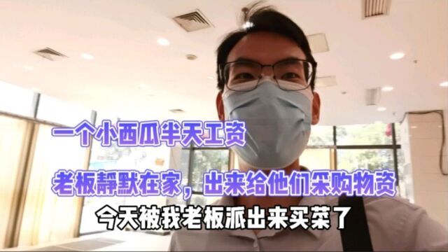 石家庄裕华区静默管理,老板发了一份菜单立马到超市采购,这一个西瓜半天工资,自己舍不得