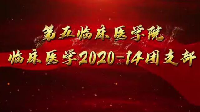 临床医学202014团支部“引领力”风采展示