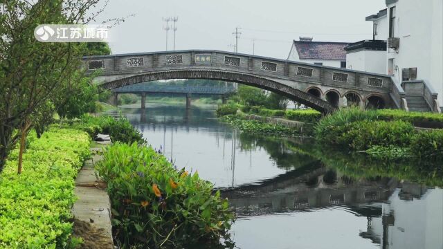 苏州昆山市农业农村局—发展现代高效农业,助力乡村振兴质量发展