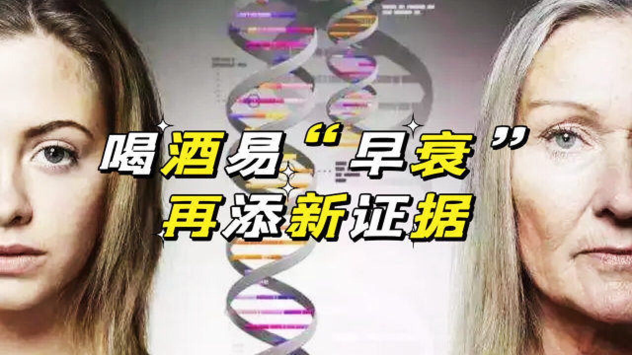 多喝酒容易早衰,新的证据来了,科学发现喝酒能缩短细胞的端粒,加快衰老