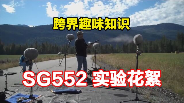 关于SG552武器盘点实验花絮,CS的SG552演变史,合成枪声!