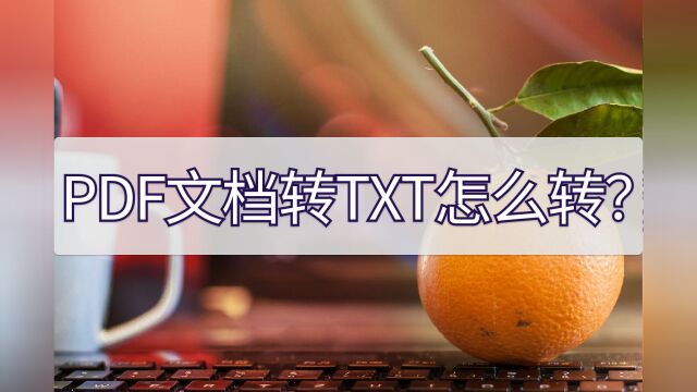 PDF文档转TXT怎么转?几步操作简单转换