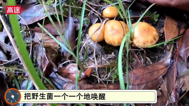 《舌尖上的地理》34场美食之旅,足不出户,畅游祖国大江南北;68道地方风味,煎炒烹炸,探寻舌尖上的中国