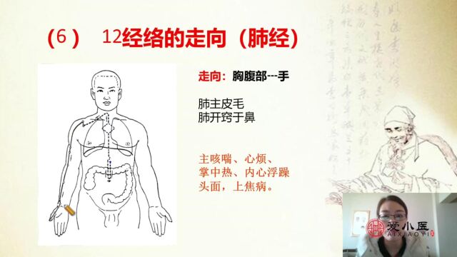 孙利群讲12经络的走向(肺经)