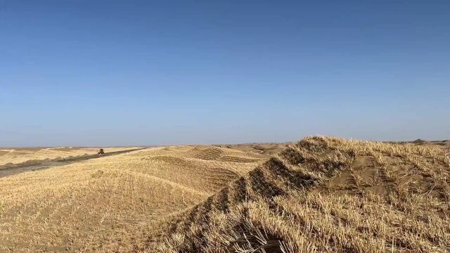 喜迎二十大ⷮŠ建设丨二师三十八团——塔中沙漠公路项目建设正加速推进