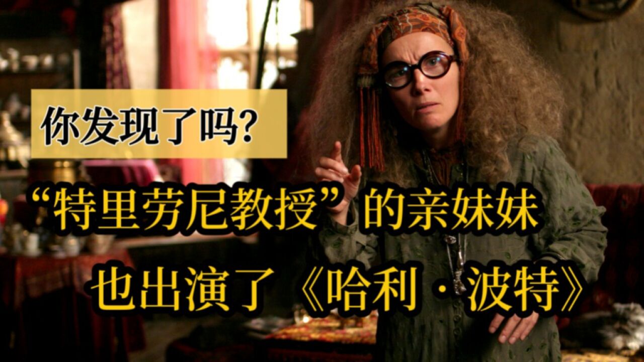 你发现了吗?“特里劳尼教授”的亲妹妹也出演了《哈利ⷮŠ波特》