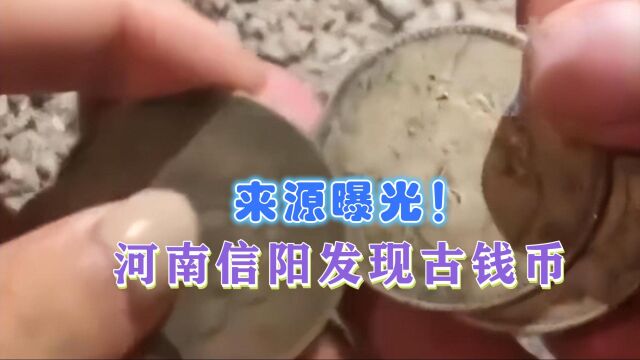 不是文物!河南信阳又发现古钱币,最新回应:是古人出殡时撒的钱